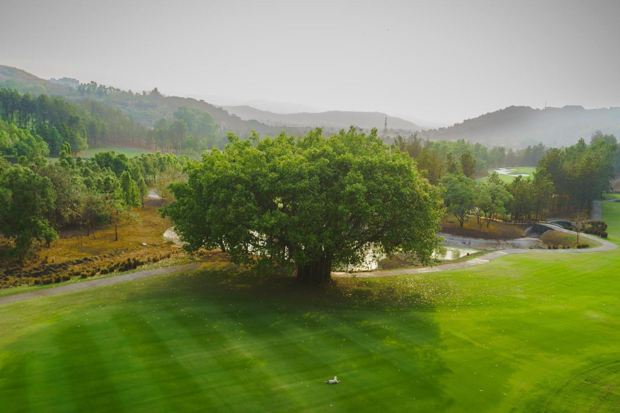Oxford Golf Resort Pirangut Eksteriør billede